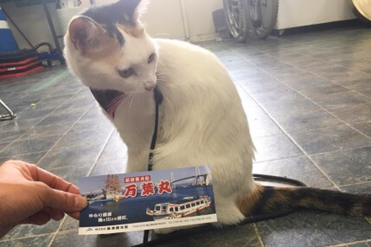 일본