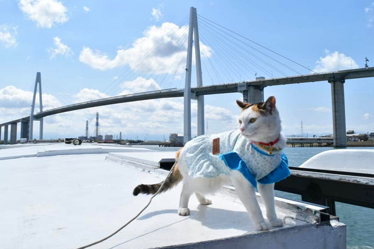 일본
