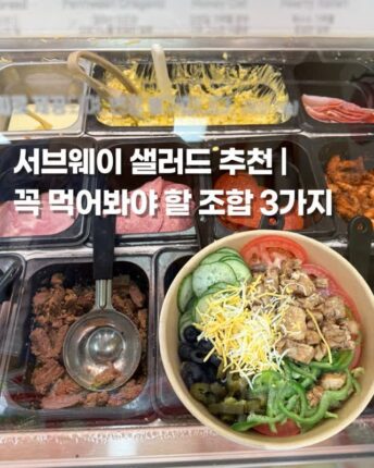 서브웨이 타코샐러드 단종 눈물머금고 다이어트 샐러드 추천